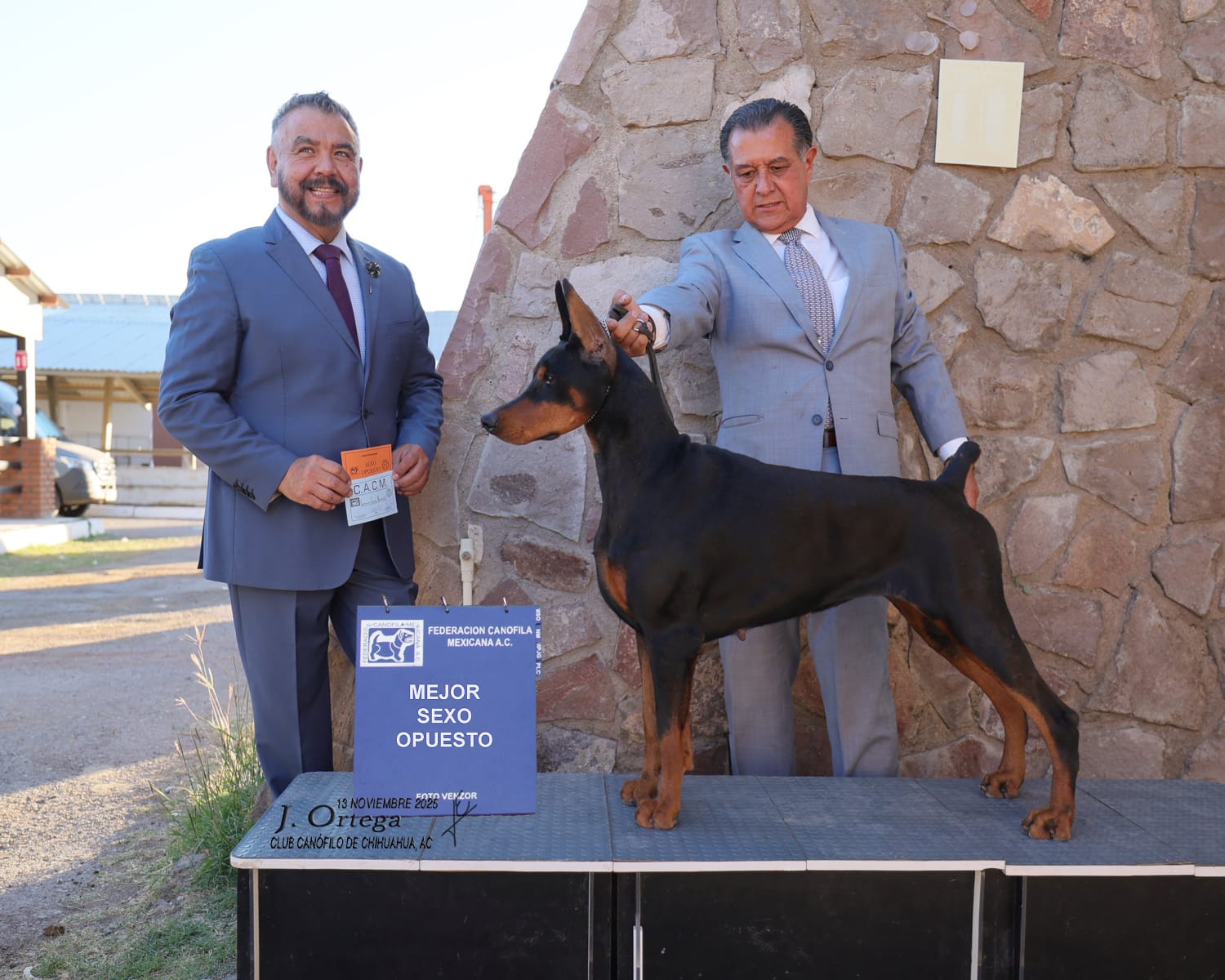 Portialda