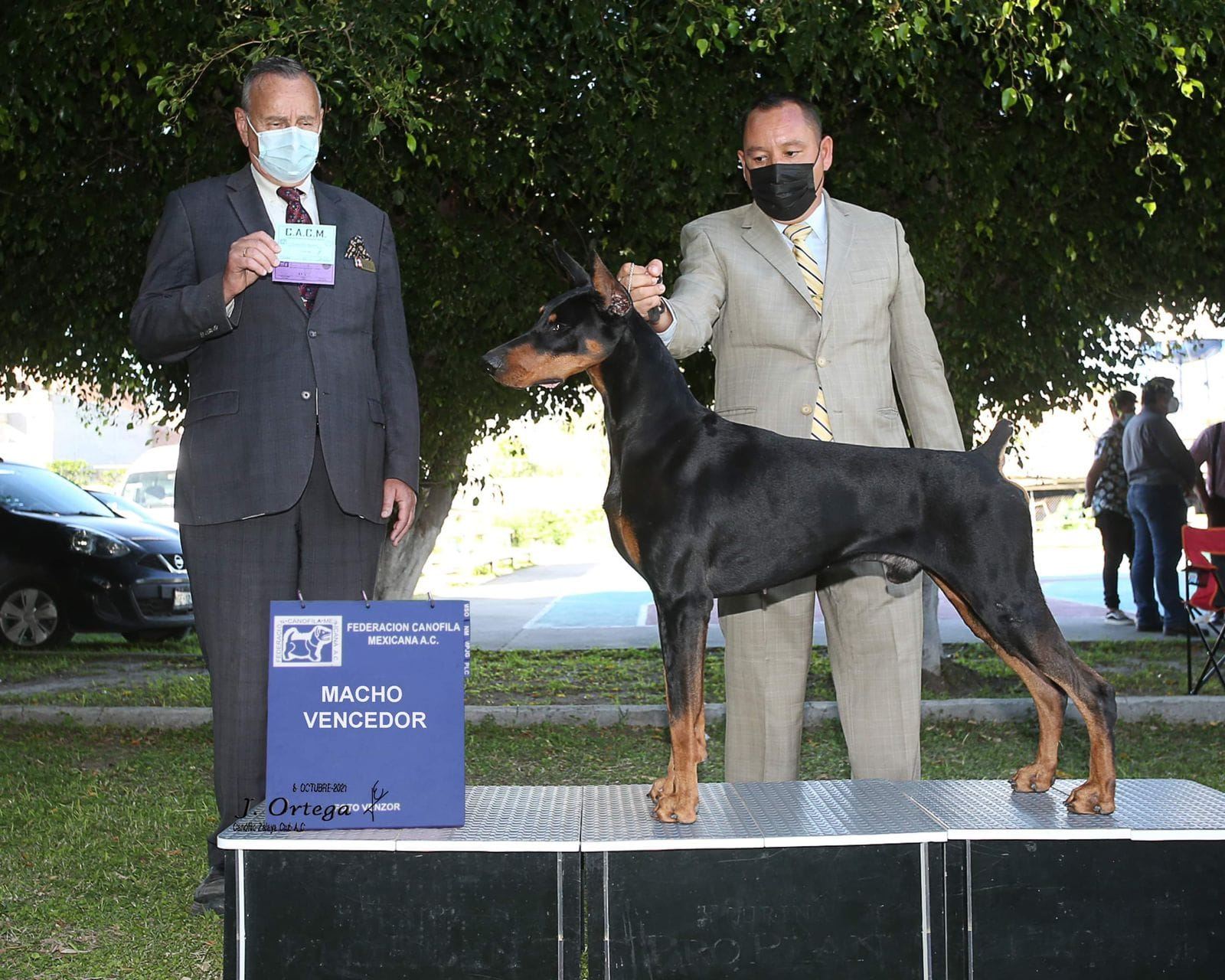 Porthos