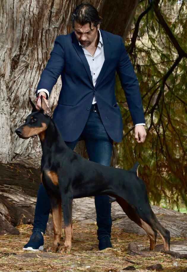 Porthos