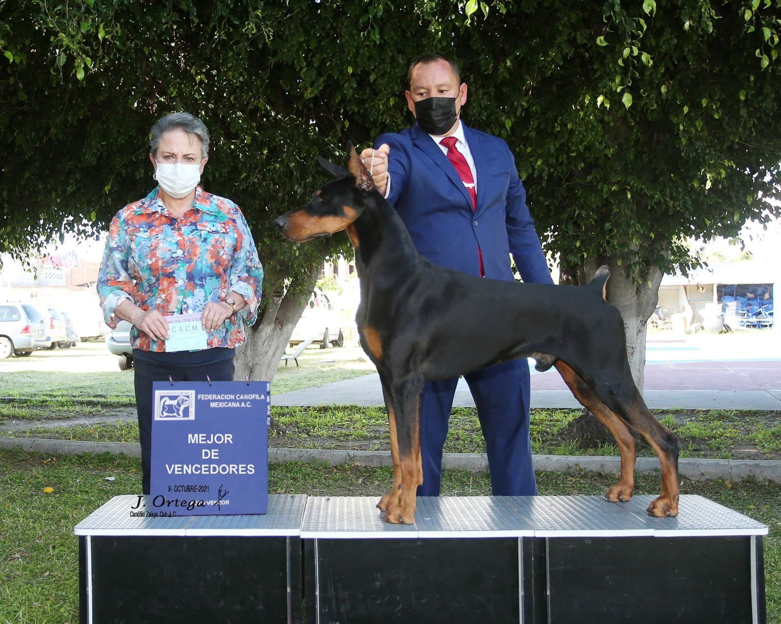 Porthos