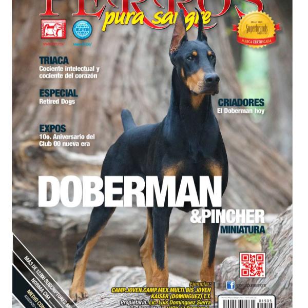 Portada revista Perros Pura Sangre