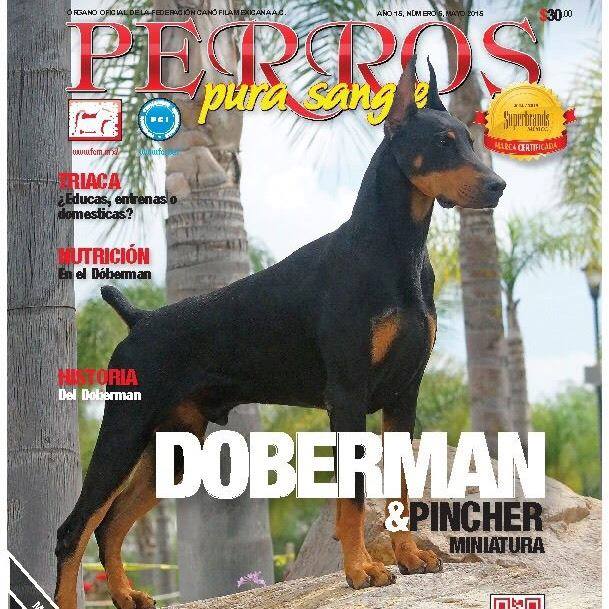Portada revista Perros Pura Sangre